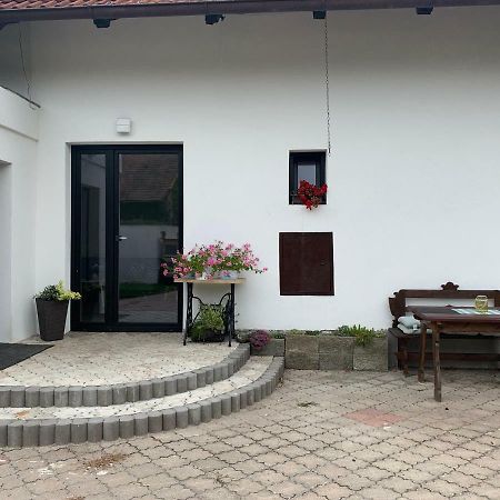 Tolarova Apartman Pardubice Dış mekan fotoğraf