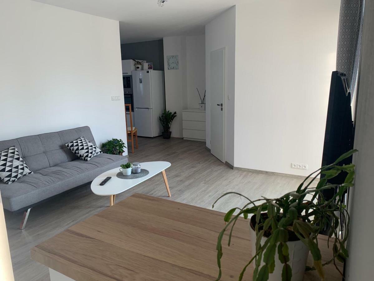 Tolarova Apartman Pardubice Dış mekan fotoğraf